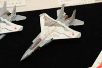 PDL_0787