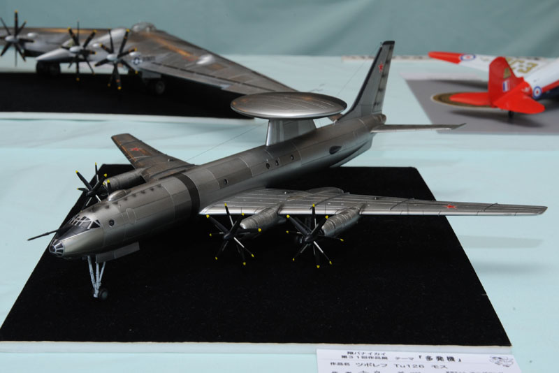 PDL_8574