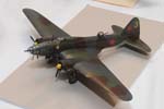 PDL_8595