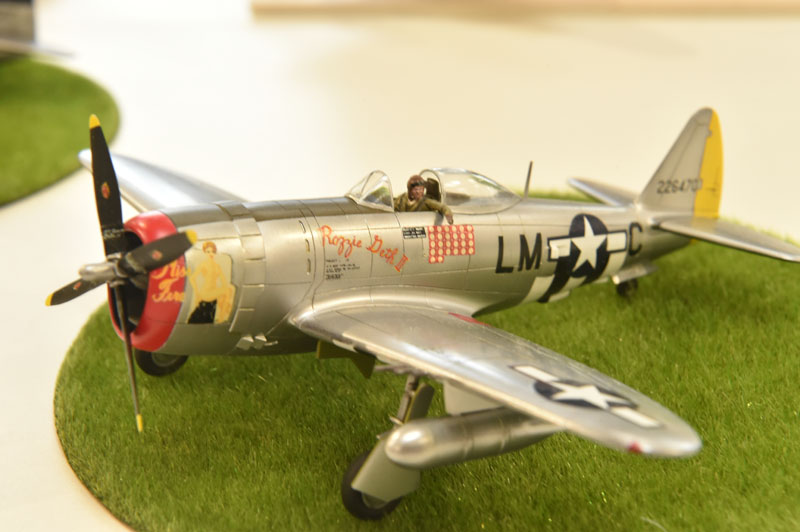 PDL_1756