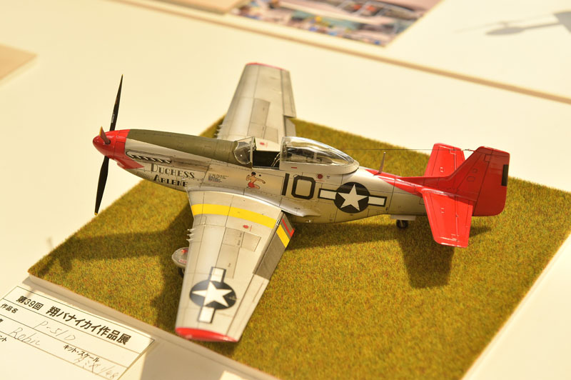 PDL_1781