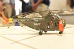 PDL_1779